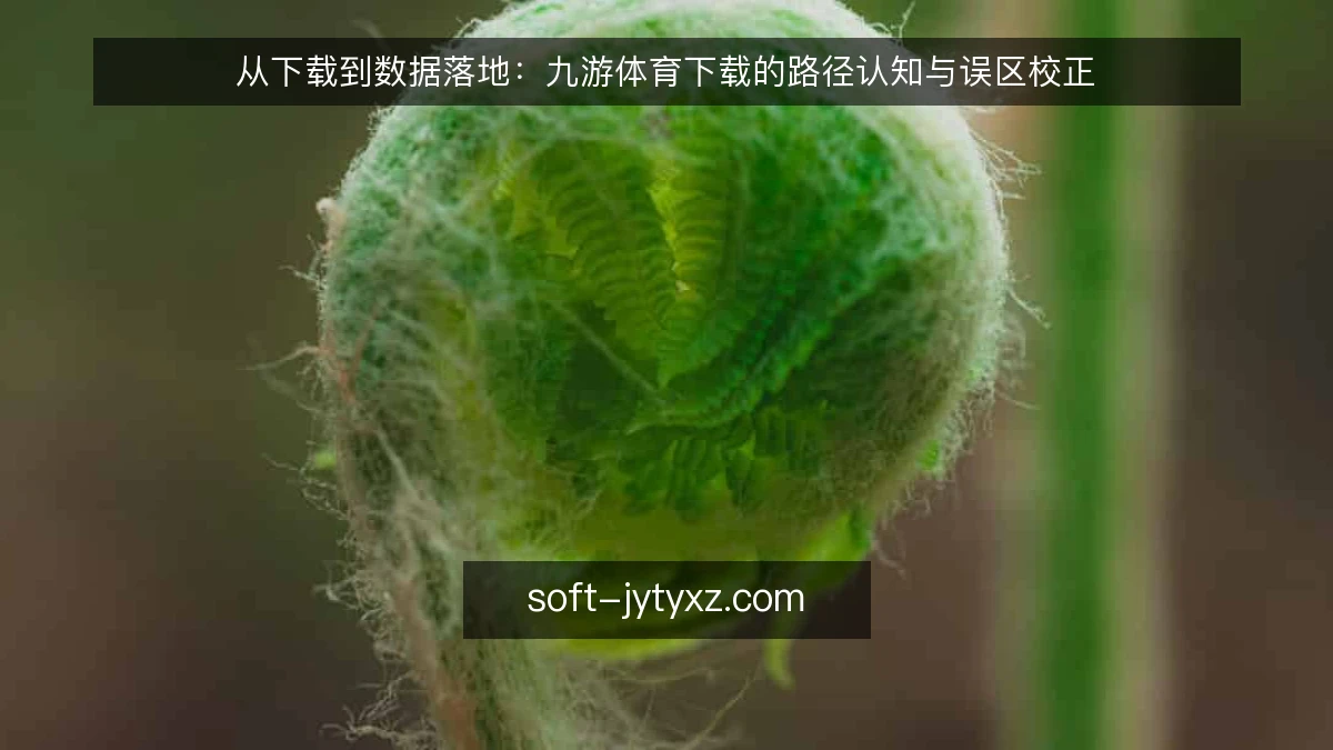 从下载到数据落地：九游体育下载的路径认知与误区校正